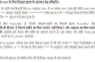 professionally translate english to hindi and type hindi documents