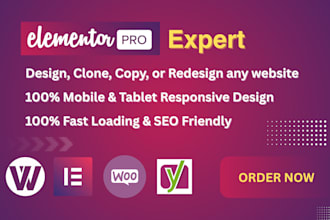 be your elementor pro expert and elementor designer for wordpress website