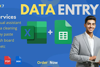 do professional excel or sheet data entry