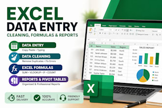 do excel data entry, data cleaning and reports