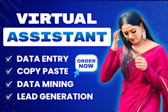 do data entry, web research, scraping, admin work as a virtual assistant