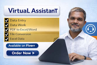 be your virtual assistant for data entry, copy past,