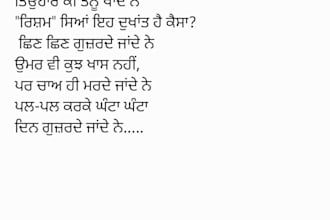 write original punjabi song lyrics with deep emotions