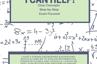 tutor mathematics for o levels a levels high school