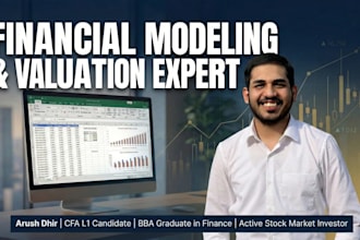 create professional financial models and valuation in excel