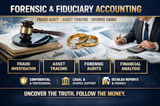 do forensic and fiduciary accounting, fraud audit and asset tracing