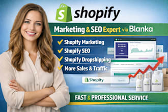 do shopify marketing shopify SEO sales traffic shopify dropshipping via blanka