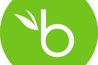 bamboohr API integration and setup