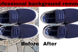 provide professional background removal and transparent pngs