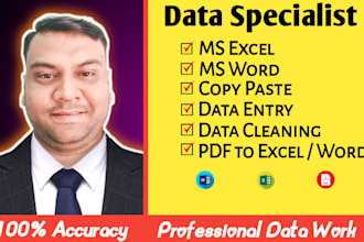 expert data entry, excel and copy paste work