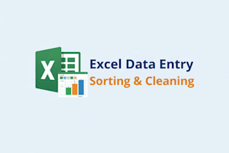 do data entry, data sorting, and data cleaning in excel