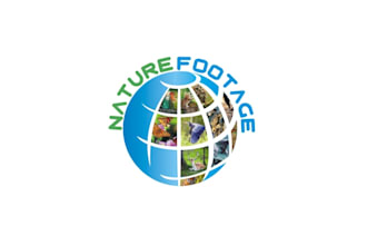 design powerful dynamic nature footage logo
