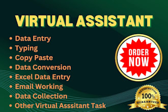 be your full time virtual assistant for data entry, excel, pdf and research