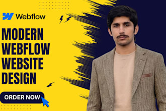 develop or revamp your webflow website