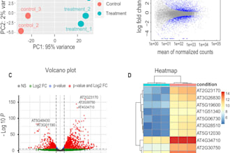 do your rnaseq analysis