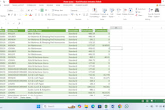 monthly excel data maintenance and cleanup service