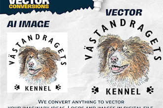 do vector tracing or convert to vector quickly