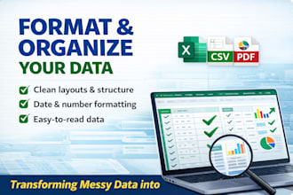 do excel data cleaning, format and organize your excel data