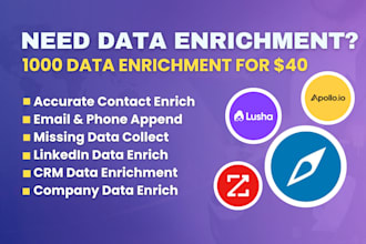 do data enrichment manually