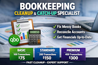 bookkeeping cleanup and catchup specialist