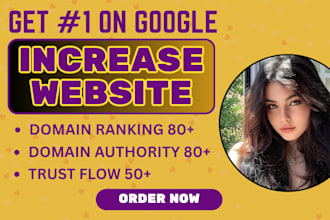 get high quality backlinks that improve your da DR  trust flow