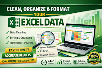 clean, organize and format excel data