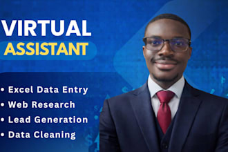 do accurate excel data entry, lead generation, and VA task