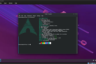 install windows, linux virtual machines for you