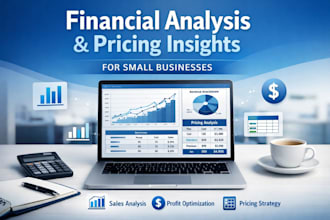 provide financial analysis, market and pricing insights for small businesses
