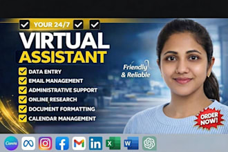 be your professional virtual assistant for admin support and data entry