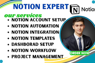 notion expert , notion templates , notion consultant, notion setup , notion