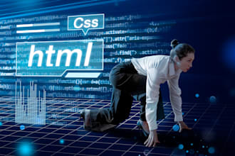 professional php mysql website development