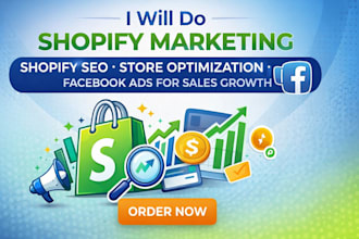 shopify marketing shopify SEO store optimization facebook ads for sales growth