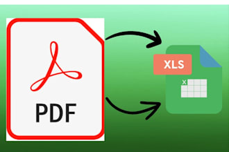 convert PDF to excel with accuracy and fast delivery