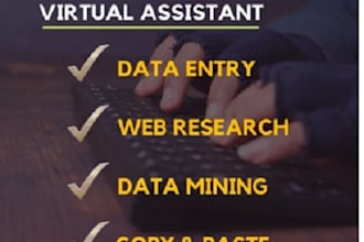 do copy paste data entry, web research and exel data entry