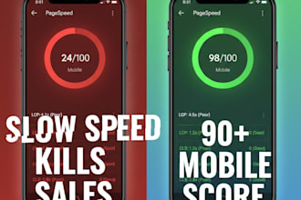 fix shopify speed and optimize lighthouse score for you