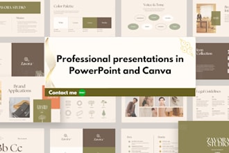 professional powerpoint and canva presentations