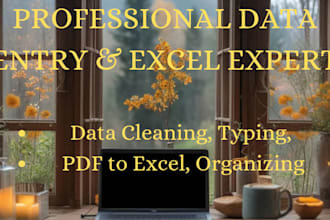 professional virtual assistant for data entry and mis tasks
