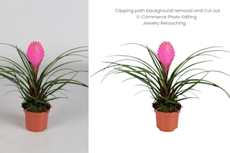 commercial photo editing, clipping path and retouching