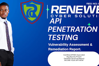 perform manual API penetration testing and owasp API top 10 security audit