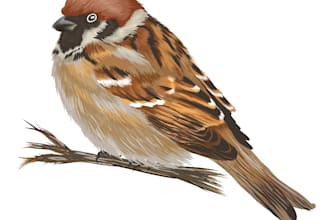 illustrate science illustrations of animals and plants