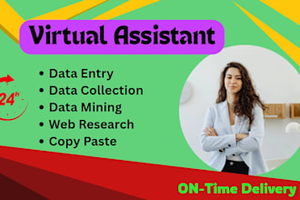 be your professional data entry, copy past, typing operator