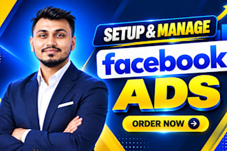setup and manage facebook ads campaign, instagram ads, fb or meta ad marketing