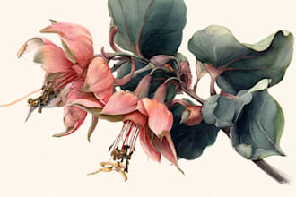 illustrate best botanical illustration