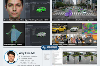 do professional image annotation, video annotation, and data annotation
