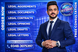 provide professional legal drafting,legal documents