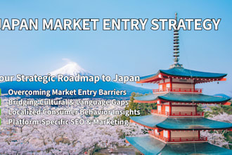 provide a strategic audit for your japan market entry