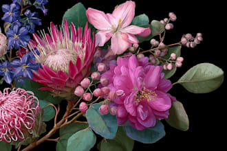 create professional flower or plant digital art or line art
