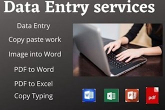 do data entry digital marketing and ms office work
