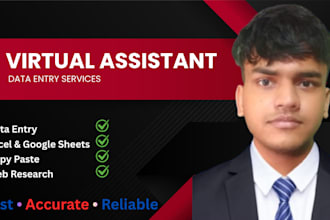 be your virtual assistant for data entry and online tasks